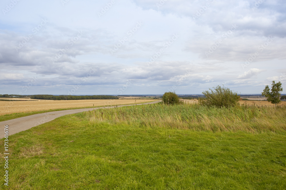 Fototapeta premium bridleway and farm pond