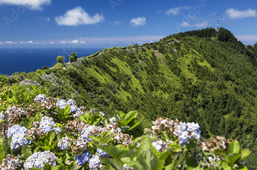 Pico da Barrosa  Sao Miguel  Azores Islands.