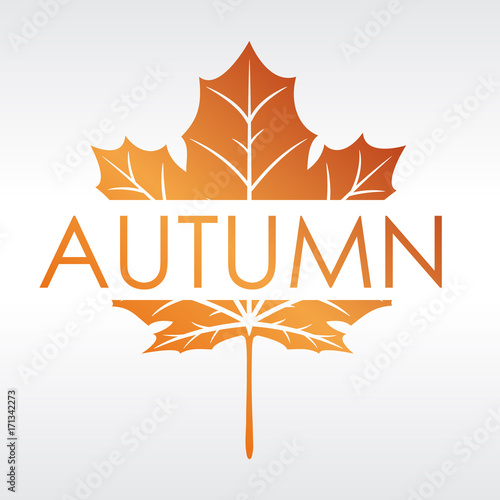 Modern style autumn logo design with fall colors and a maple leaf. 