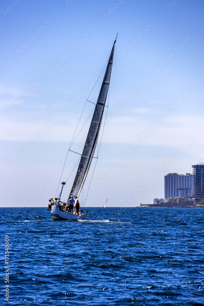 Naklejka premium yacht in the sea