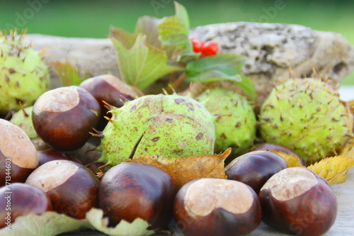 marrons d'inde et feuilles d'automne,fruit de saison