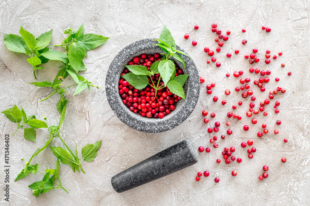 berries and herbs in mortar for making spices in food set on stone background top view berries and herbs in mortar for making spices in food set on stone background top view