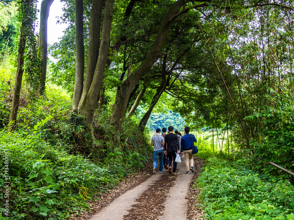 Obraz premium People walking to visit the rice fields plantation in Japan