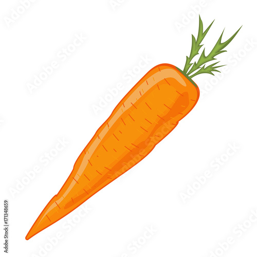 Large orange cartoon carrot. Isolated on white background.