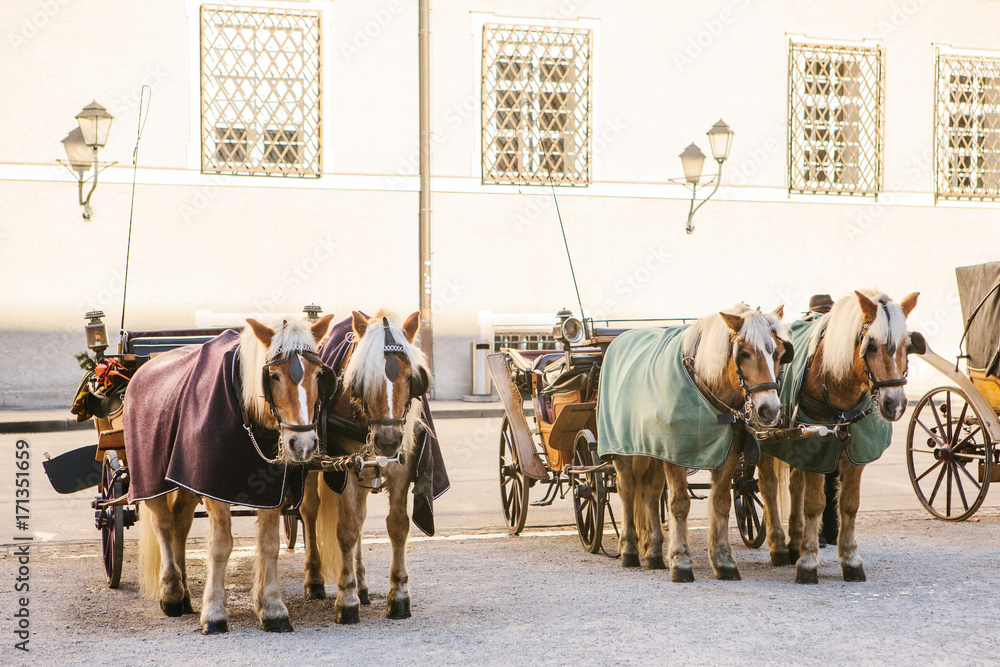 Horses with wagons in winter on the main square of Salzburg in Austria. Entertainment of tourists, riding. Vacation, attractions.