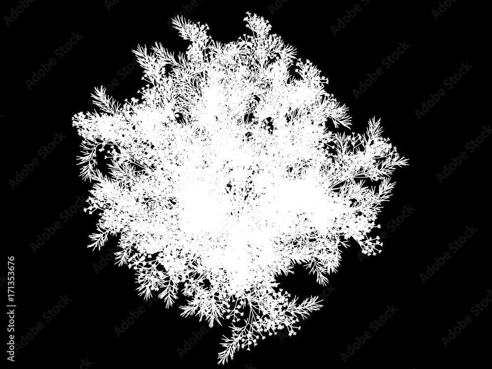 3d rendering of a white abstract tree on a black background 3d rendering of a white abstract tree on a black background
