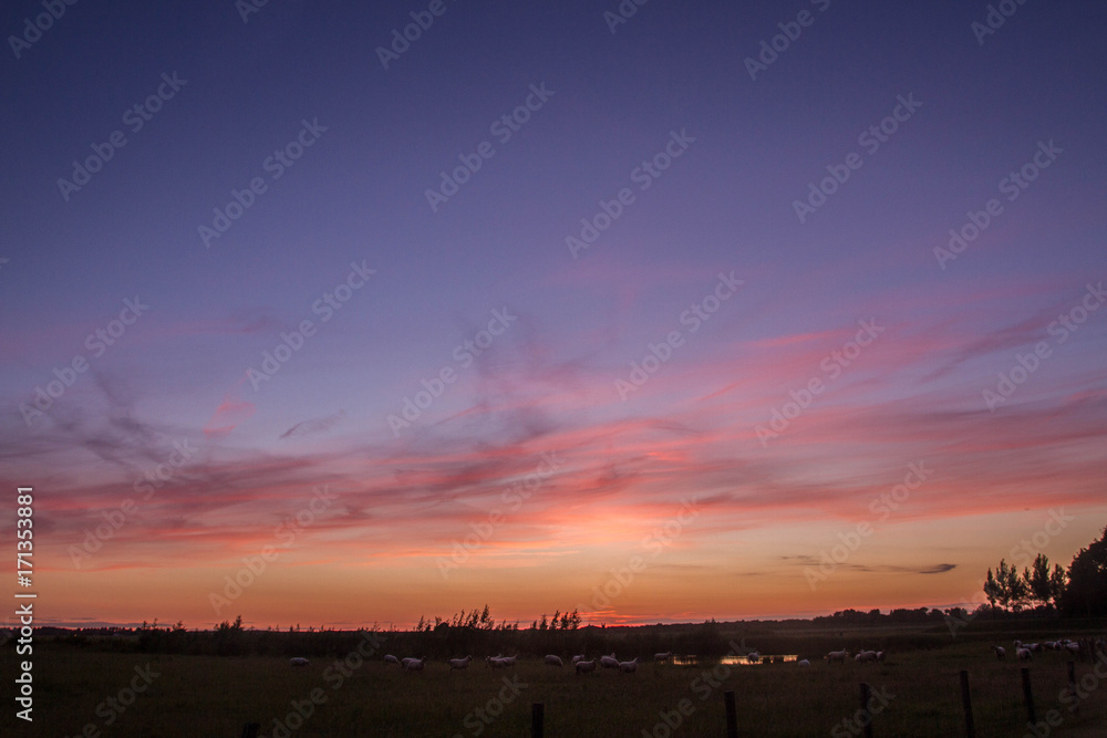 Fototapeta premium netherlands see