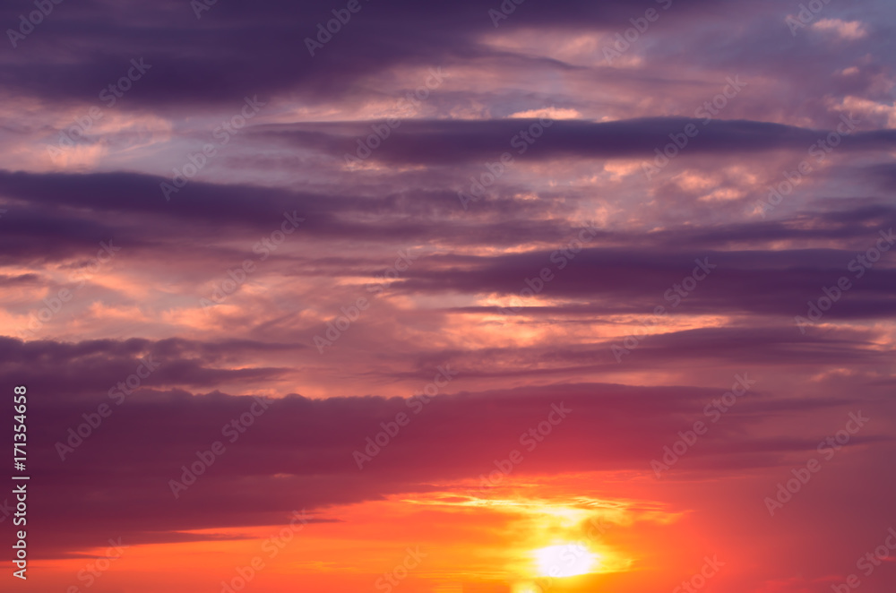 A beautiful pink sunset in the middle of summer.