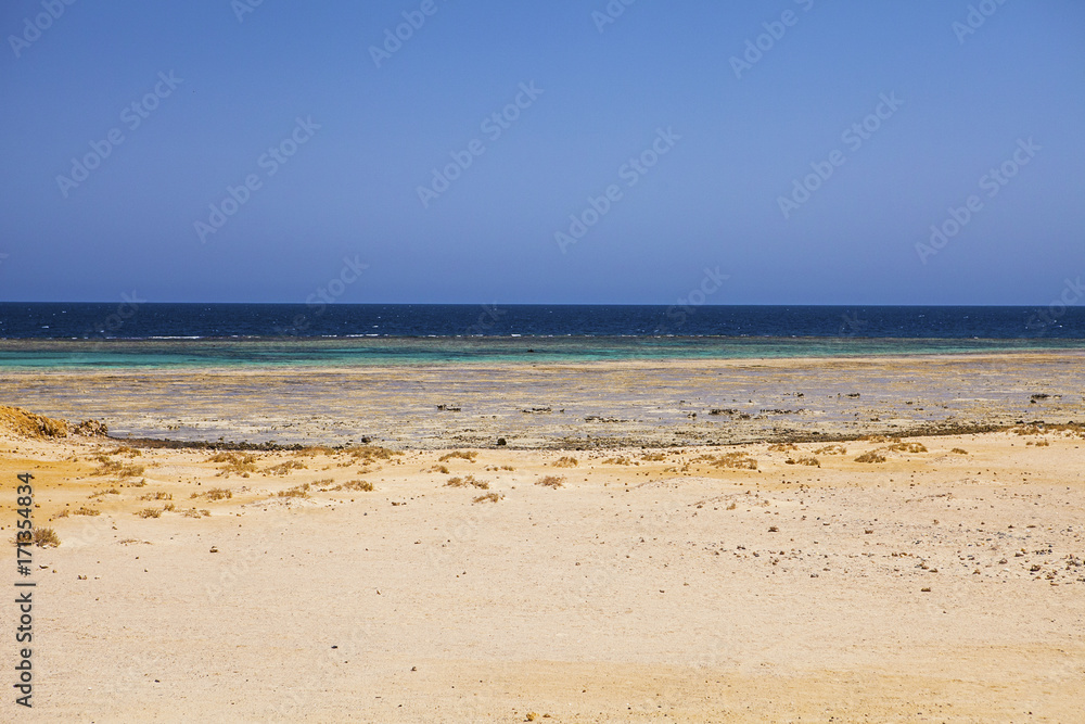 Marine landscape of Marsa Alam (Red Sea), Egypt