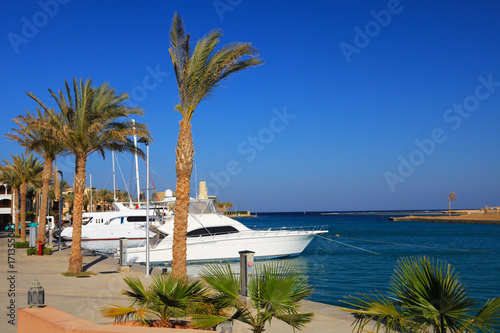 Port Ghalib, a beautiful port, marina and tourist town near Marsa Alam, Egypt. photo