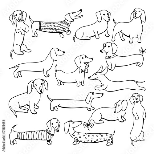Set of dog dachshund illustrations