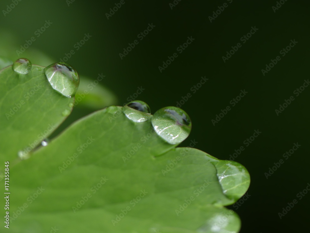 Waterdrop Waterdrop