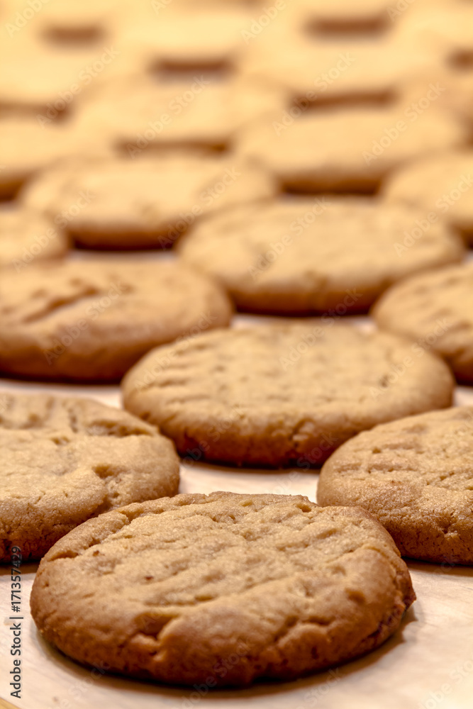 Making of Peanut Butter Cookies Making of Peanut Butter Cookies