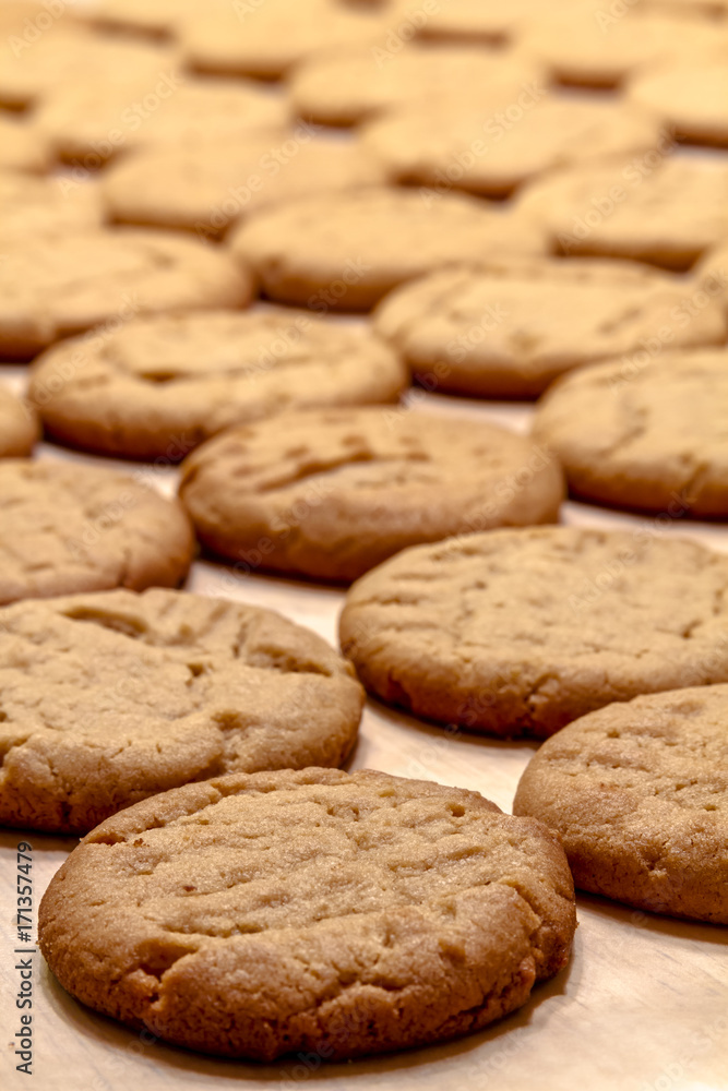 Making of Peanut Butter Cookies Making of Peanut Butter Cookies