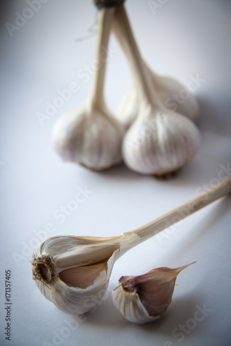 garlic