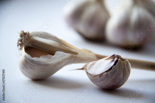 garlic