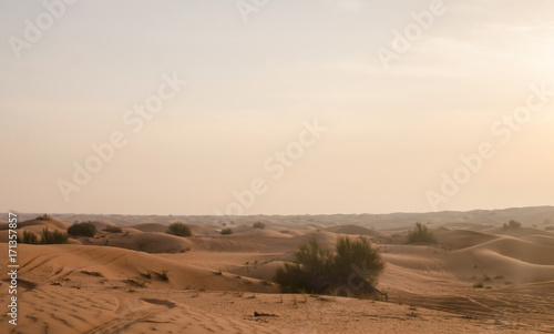 Arabian red desert dunes and vegetation background