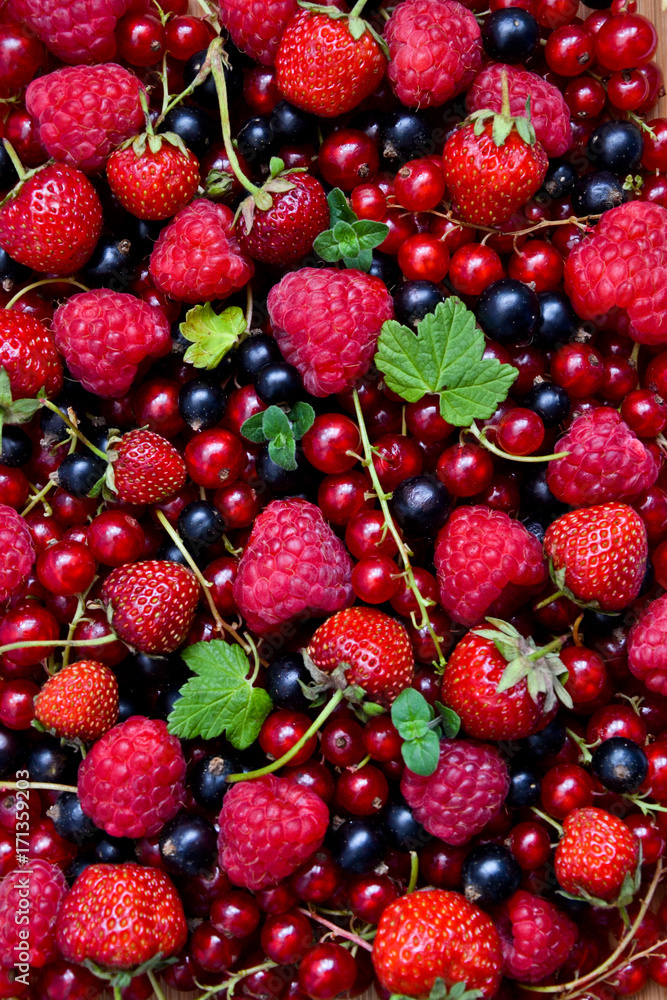 Berries organic background. Raspberry, strawberry, red and black currant organic fresh from village garden. Ecological organic berries for desserts, smoothie or jam. Berries organic background. Raspberry, strawberry, red and black currant organic fresh from village garden. Ecological organic berries for desserts, smoothie or jam.