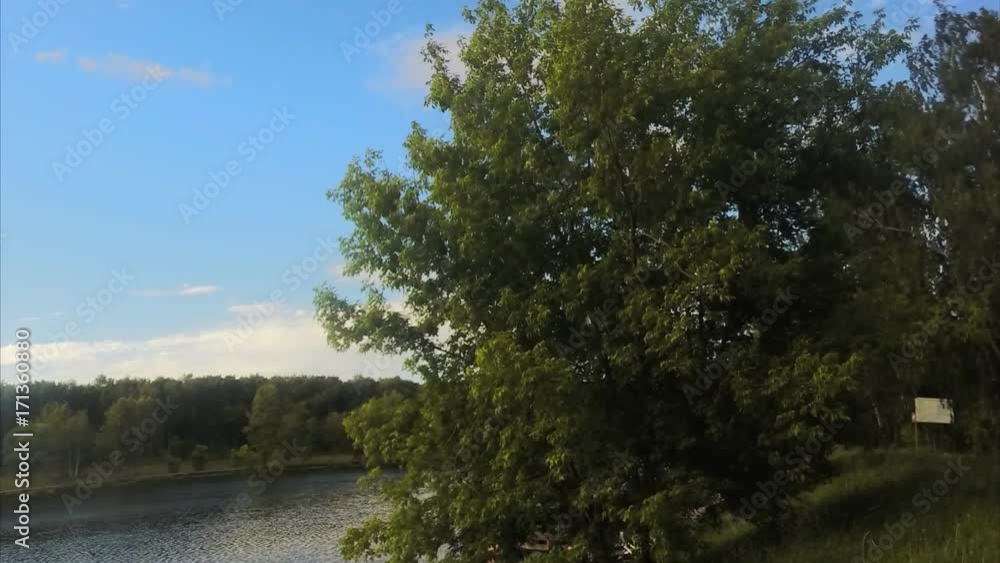 sunny summer day at the lake in the park timelapse sunny summer day at the lake in the park timelapse