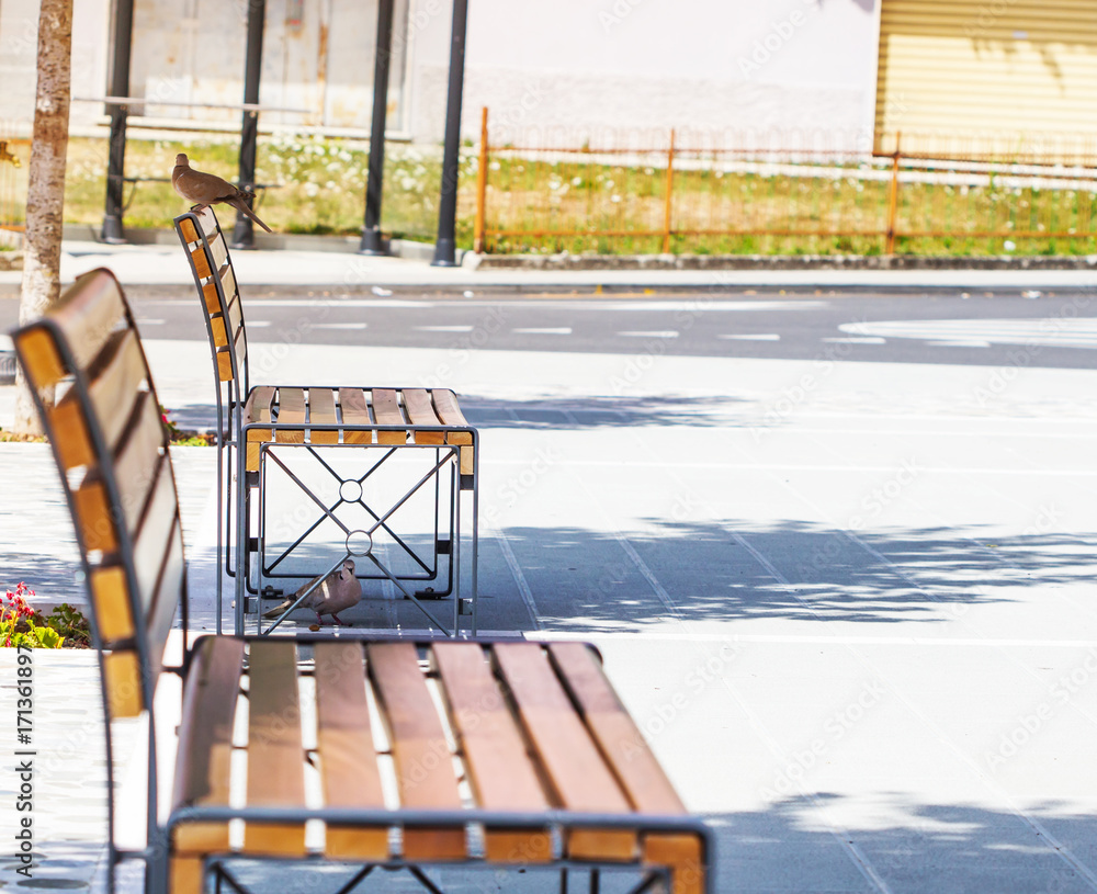 Bench in the park under the shade of sunlight in summer. Bench in the park under the shade of sunlight in summer.