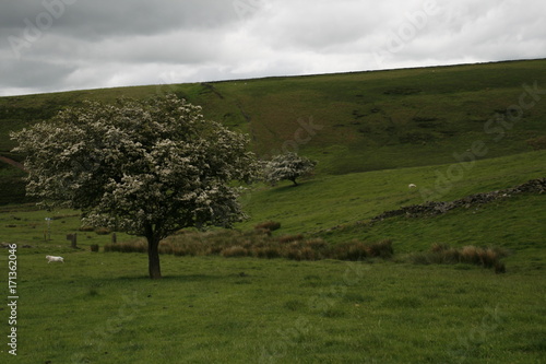 Black Moor, Walking in Peak District, UK