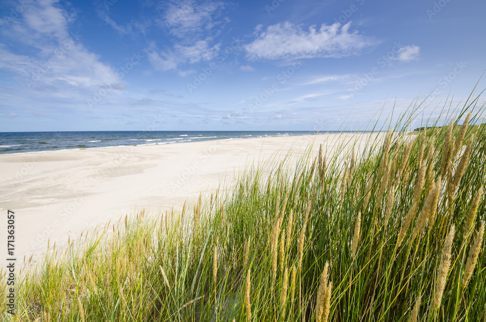 Plaża w Białogórze Plaża w Białogórze