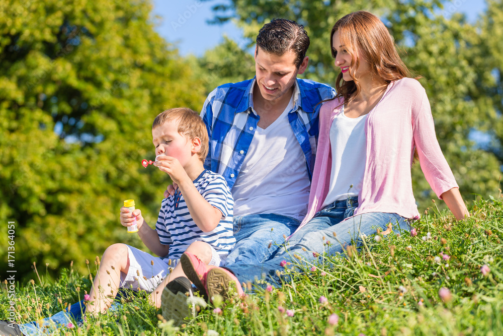 Family sitting on meadow playing with soap bubbles in summer Family sitting on meadow playing with soap bubbles in summer