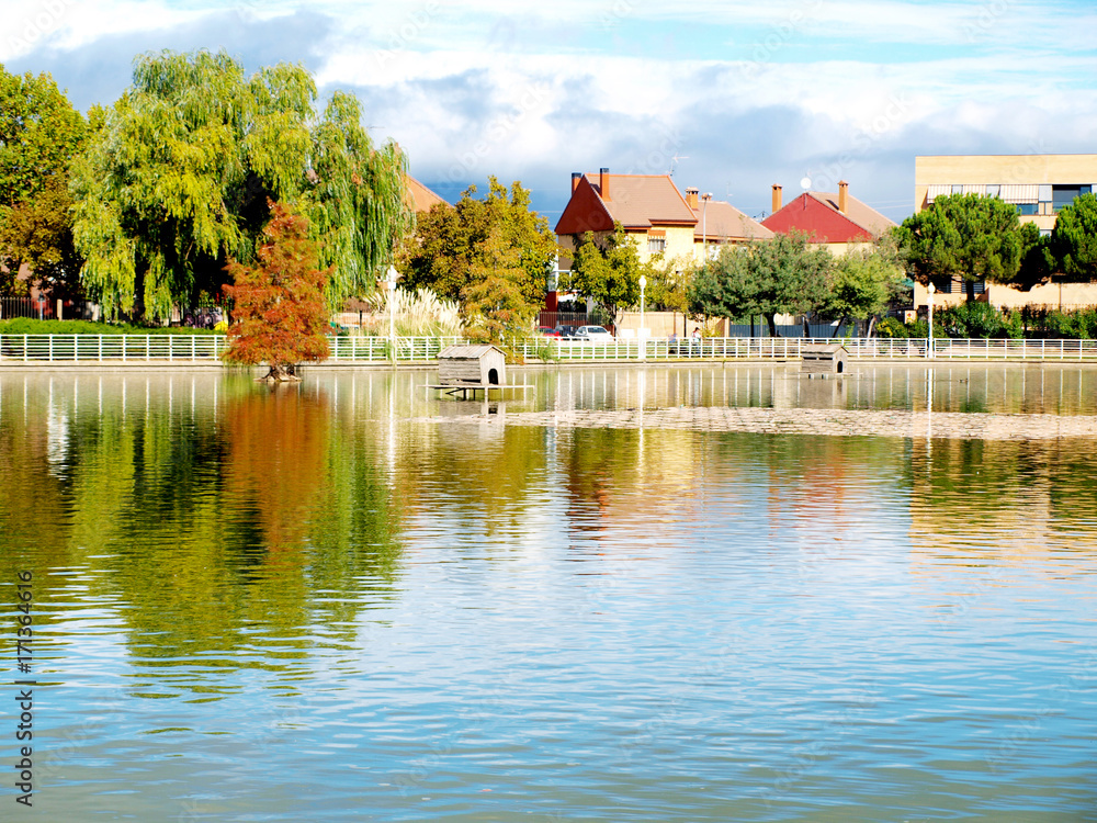 Fototapeta premium Paisaje con lago I