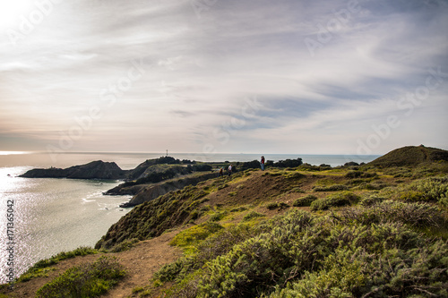 Bay Area Landscape 