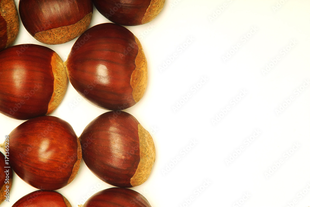 Obraz premium chestnuts on white background