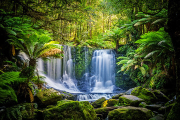 Tuinposter Watervallen Horseshoe Falls Mt Field Nationaal Park Tasmanië  © MrForever
