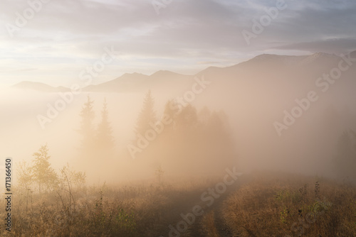 Morning autumn fog in the mountains