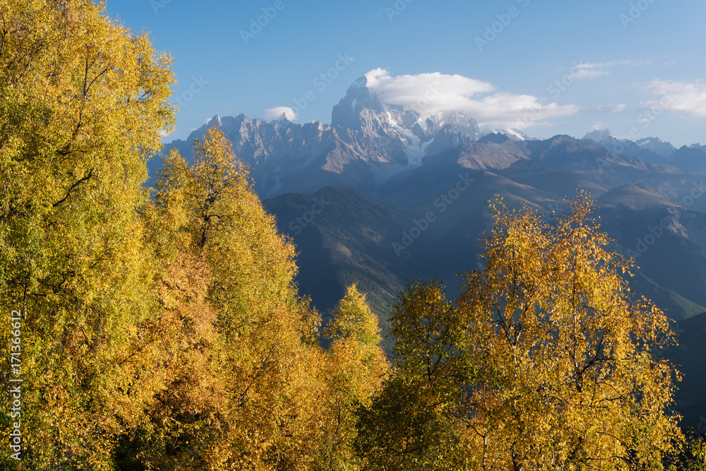 Autumn Landscape with birch forest and mountain range