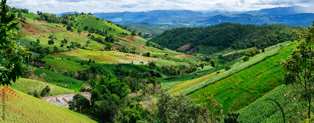 Rice terrace and mountain with the rain storm at the background at Pa Bong Piang near Inthanon National Park and Mae Chaem, Chiangmai, Thailand..