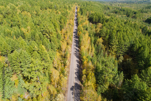 aerial shot of trail in colorful autumn forest