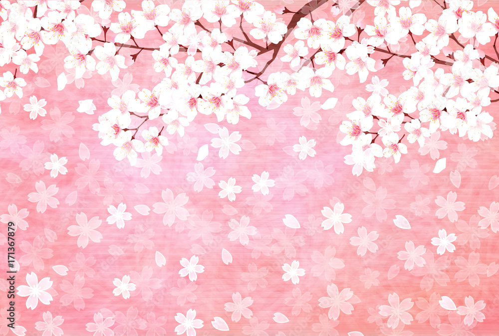 桜　年賀状　春　背景