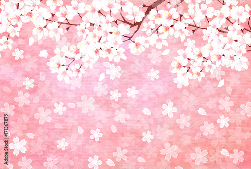桜 年賀状 春 背景