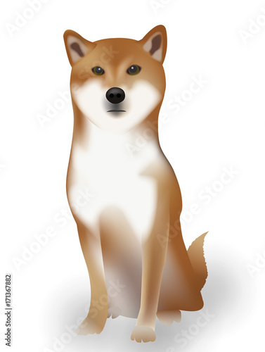 戌　年賀状　動物　アイコン