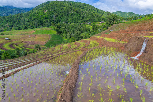 little hut and Rice terrace in a cloudy lighting surrounded by trees and mountains at Pa Bong Piang near Inthanon National Park and Mae Chaem, Chiangmai, Thailand.. photo