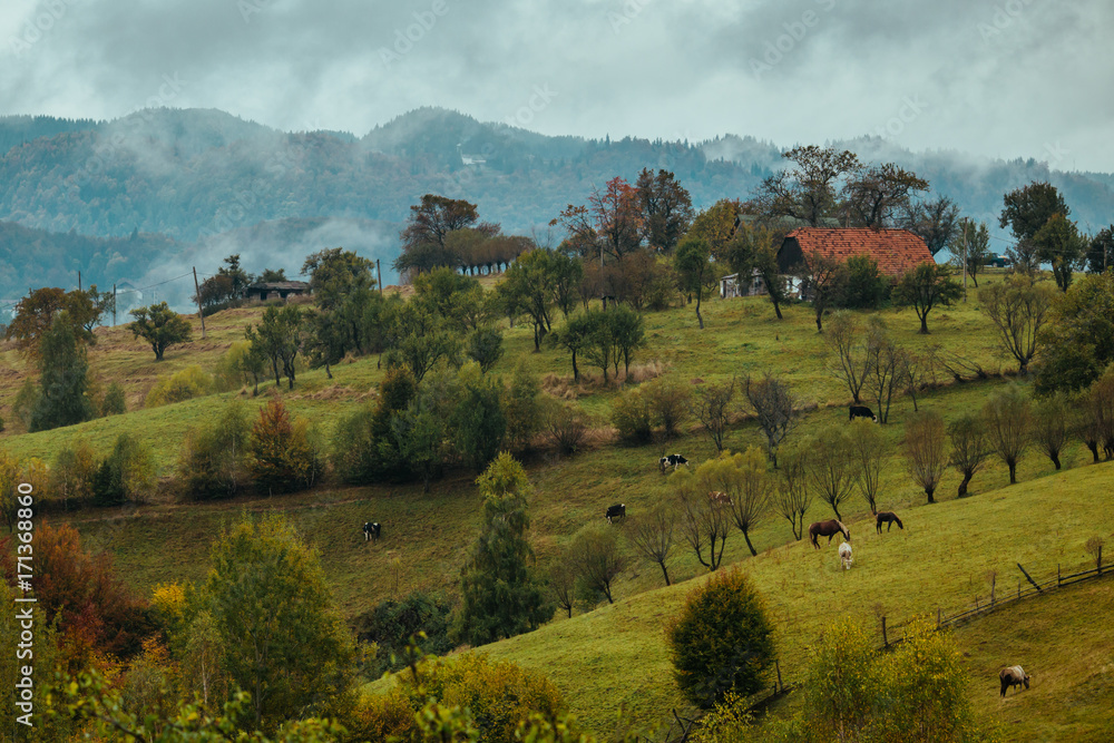 Autumn colors in the mountains