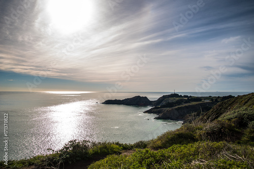 Bay Area Landscape 