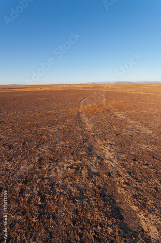 Northern Cape, South Africa, Desert