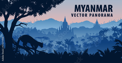 vector panorama of Myanmar with clouded leopard in jungle rainforest photo