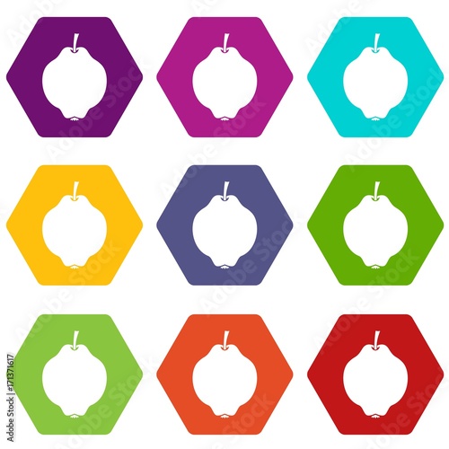 Quince fruit icon set color hexahedron