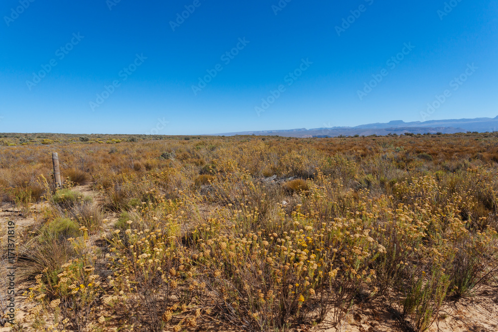 Northern Cape, South Africa, Desert Northern Cape, South Africa, Desert