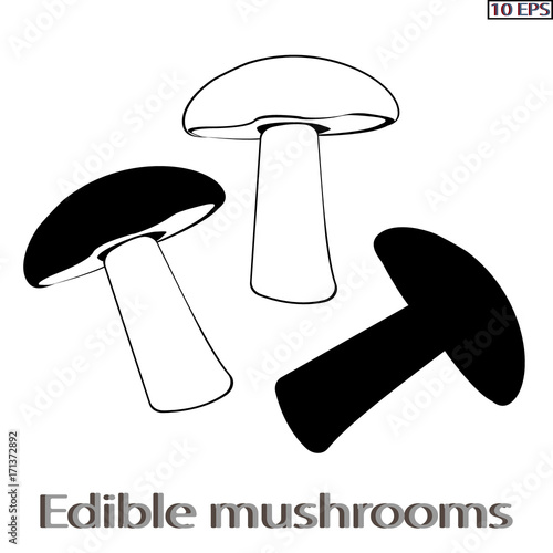 Mushrooms. Black icon. Edible fungus. Illustration to culinary sites or cook book. Recipe mushrooms, vegetarian menu, kitchen interior design. Vector illustration.