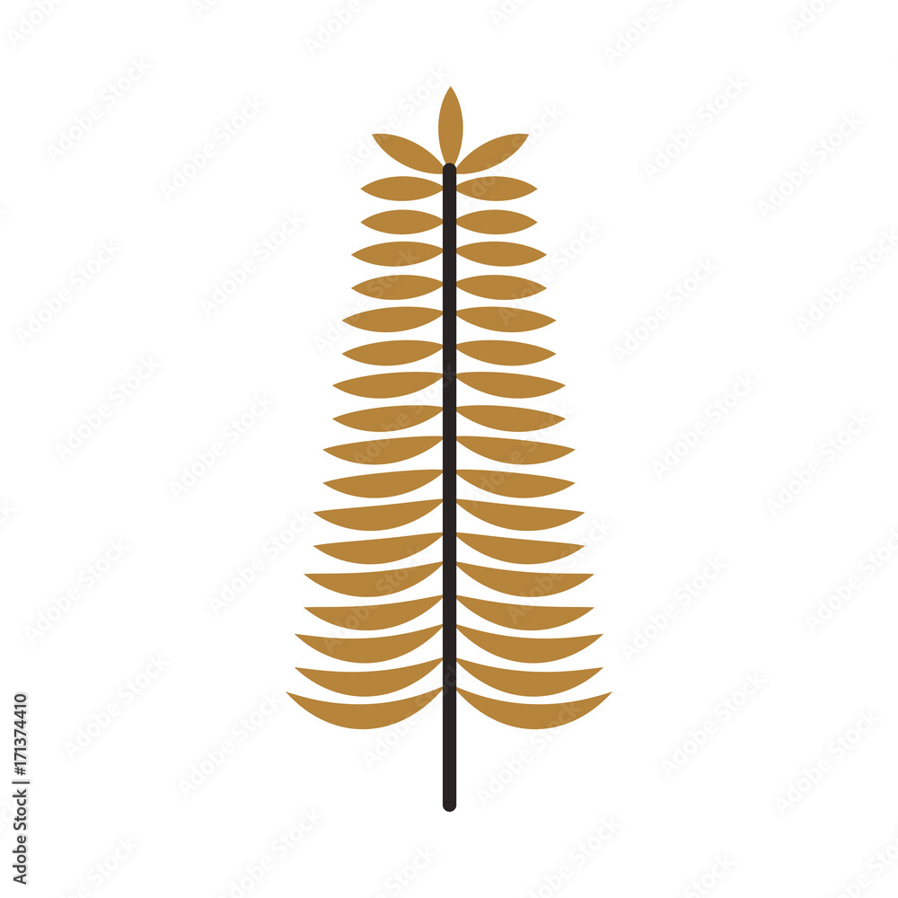 golden branch christmas decoration ornament vector illustration golden branch christmas decoration ornament vector illustration
