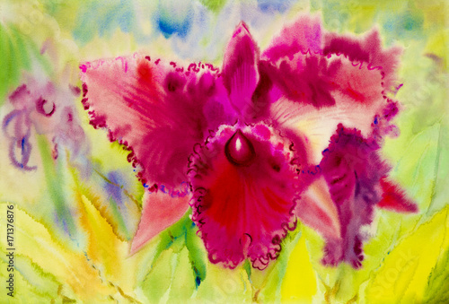  Abstract watercolor original painting purple pink color of orchid flower