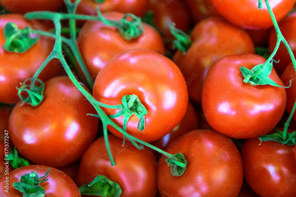 Fresh organic tomatoes as background. Close up Fresh organic tomatoes as background. Close up
