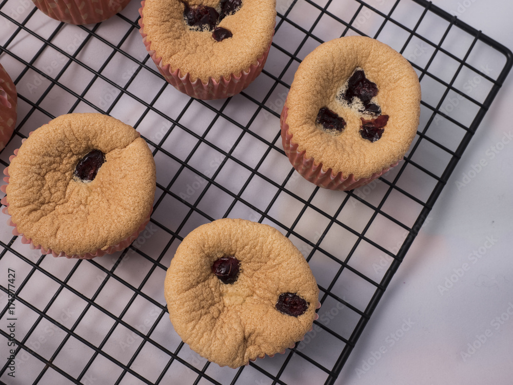 cup cake cup cake